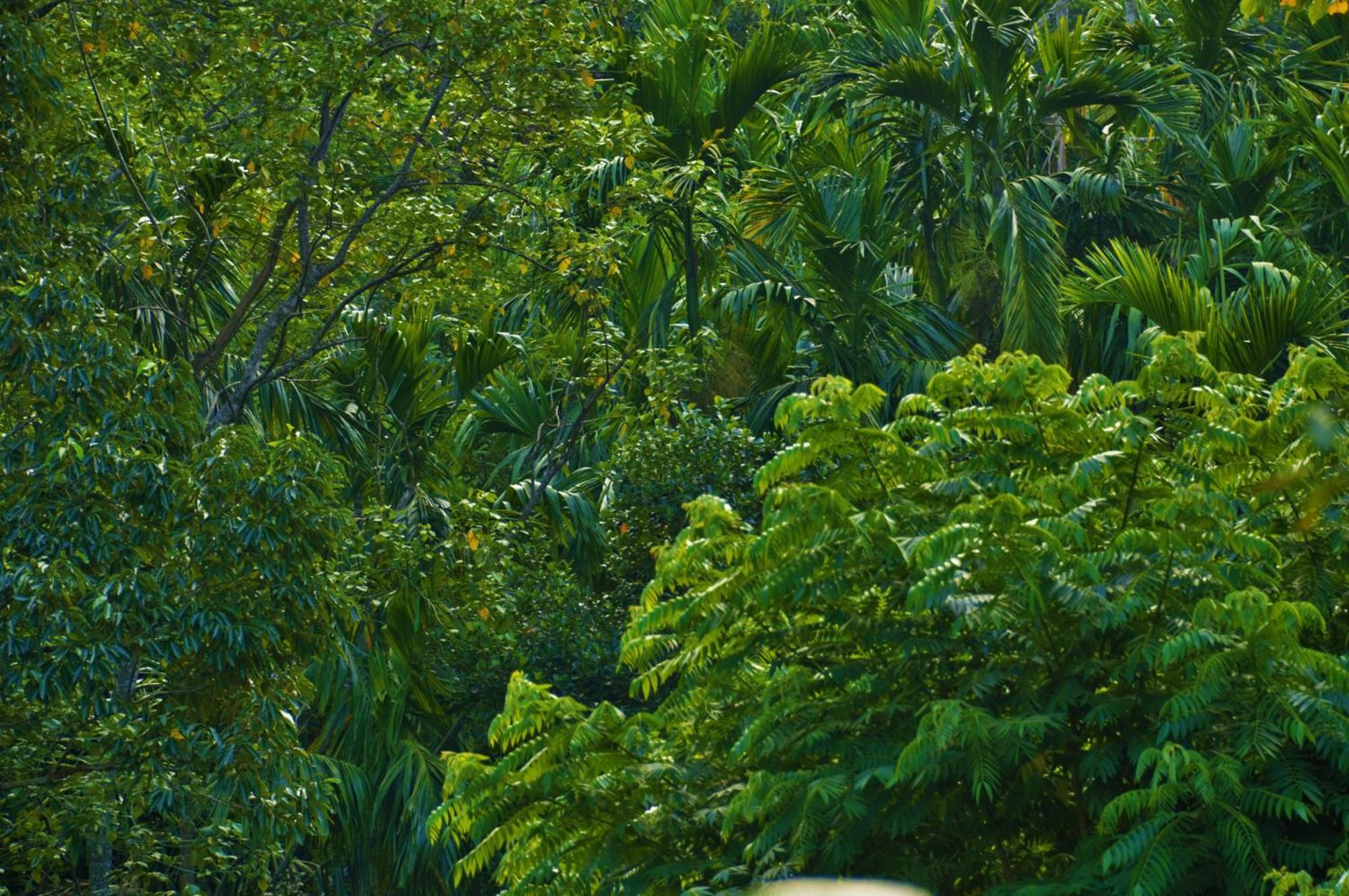Green Cottage エッラ エクステリア 写真