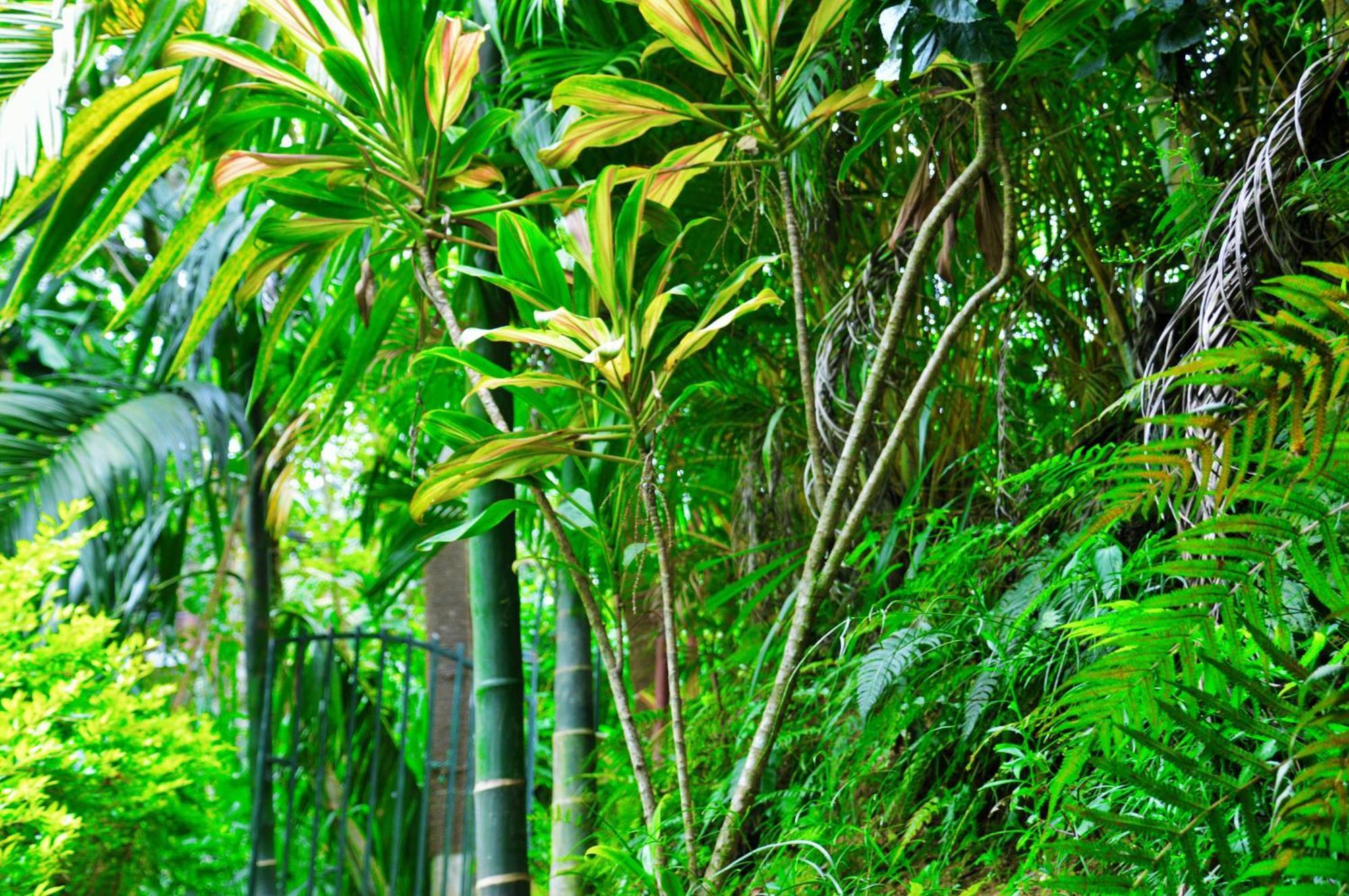 Green Cottage エッラ エクステリア 写真